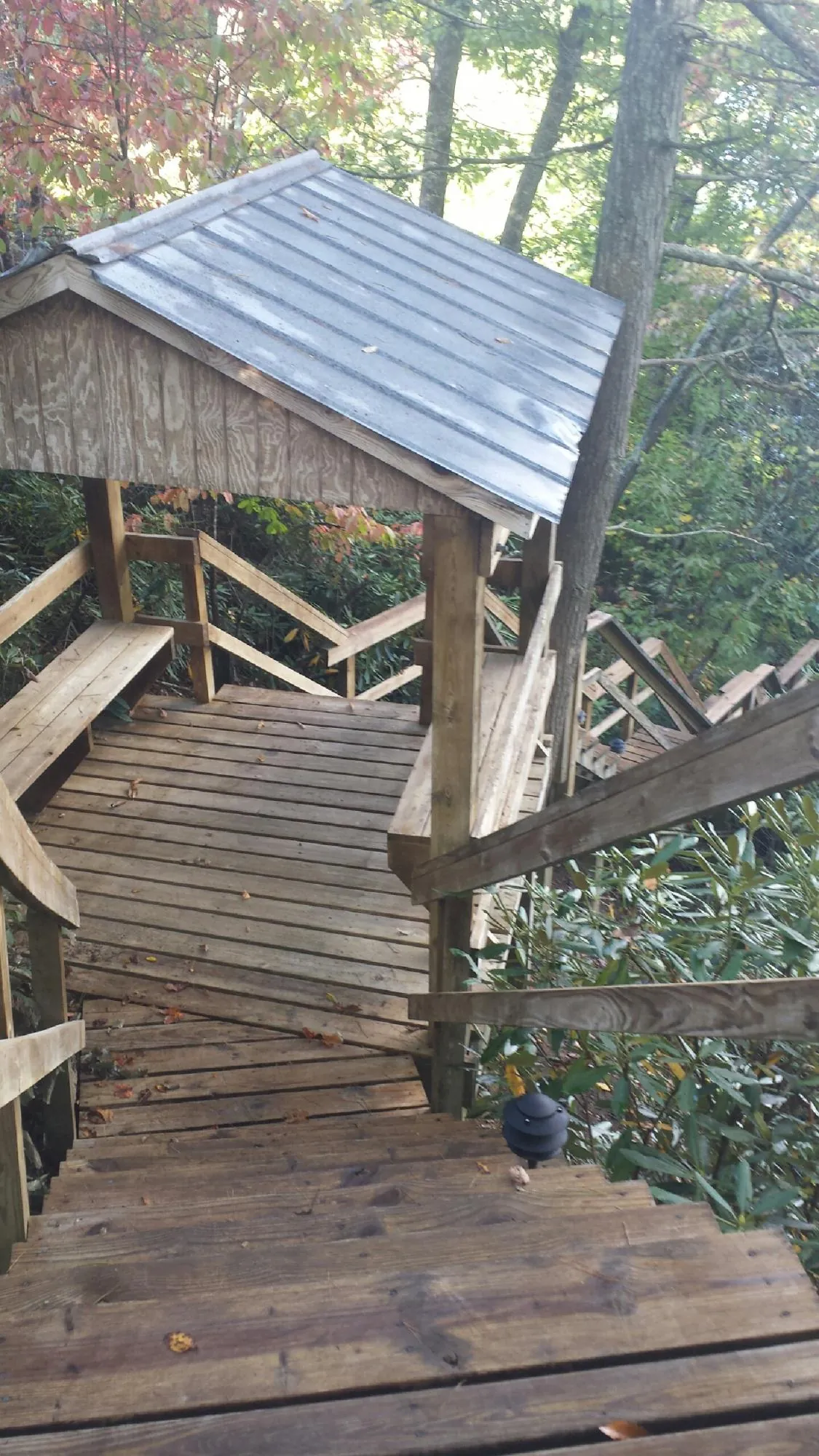 Metal roofed shelter over wooden steps on a wooded walkway — Skylight Repair & Installation work by our crew in Tupelo